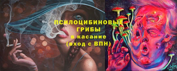 сатива Нея