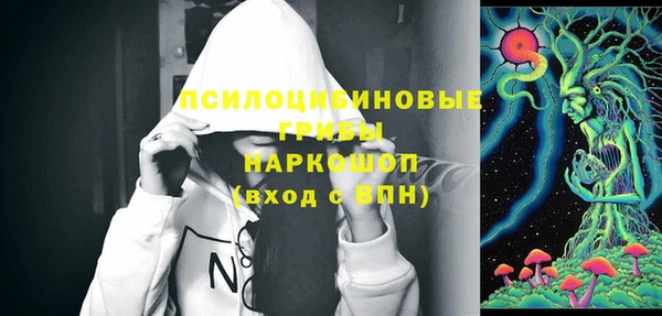 гашик Билибино