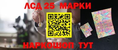 стаф Дубна