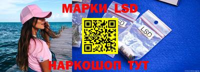 стаф Дубна