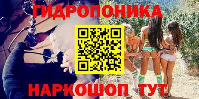 стаф Дубна