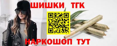 стаф Дубна