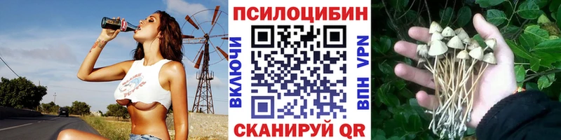 Псилоцибиновые грибы MAGIC MUSHROOMS  мега ТОР  Симферополь  цена наркотик 