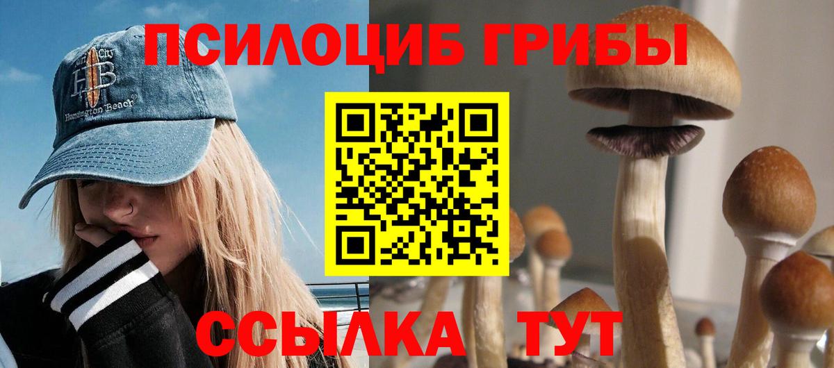 Псилоцибиновые грибы Psilocybine cubensis Симферополь