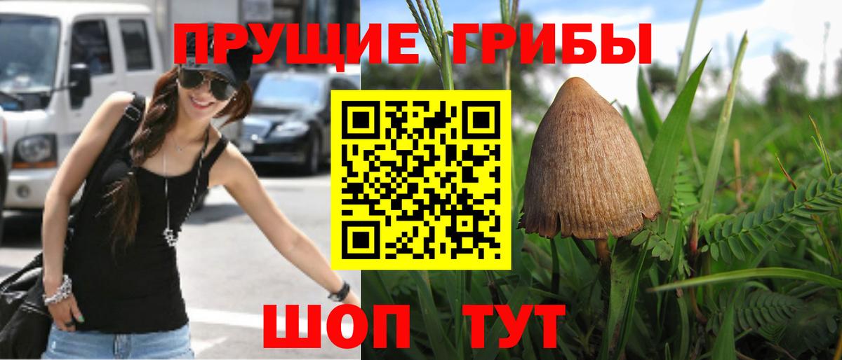 Псилоцибиновые грибы GOLDEN TEACHER  Галлюциногенные грибы Magic Shrooms  Симферополь 