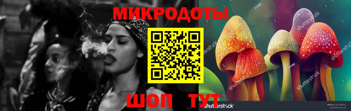 Галлюциногенные грибы Magic Shrooms  наркота  Симферополь  Вход с VPN  Псилоцибиновые грибы Psilocybine cubensis 